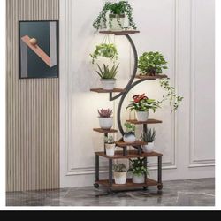 Plant Stand indoor with Glow light 💡 🪴 