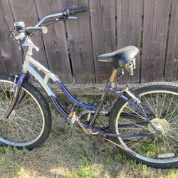 Bicycle Beach Cruiser Girls Bike 