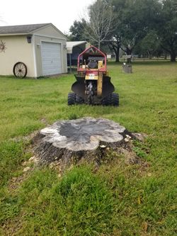Stump grinding All Areas Around Houston Tx