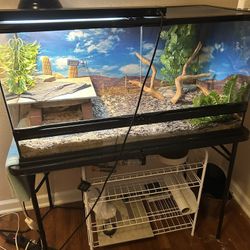 40 Gallon Reptile Tank