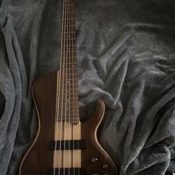 6 String Ibanez Bass