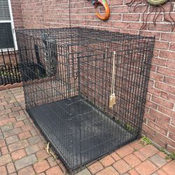 Outdoor Dog Kennel 