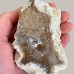 Savannah River Agate/Chert. Gemstones Crystals Rocks Minerals