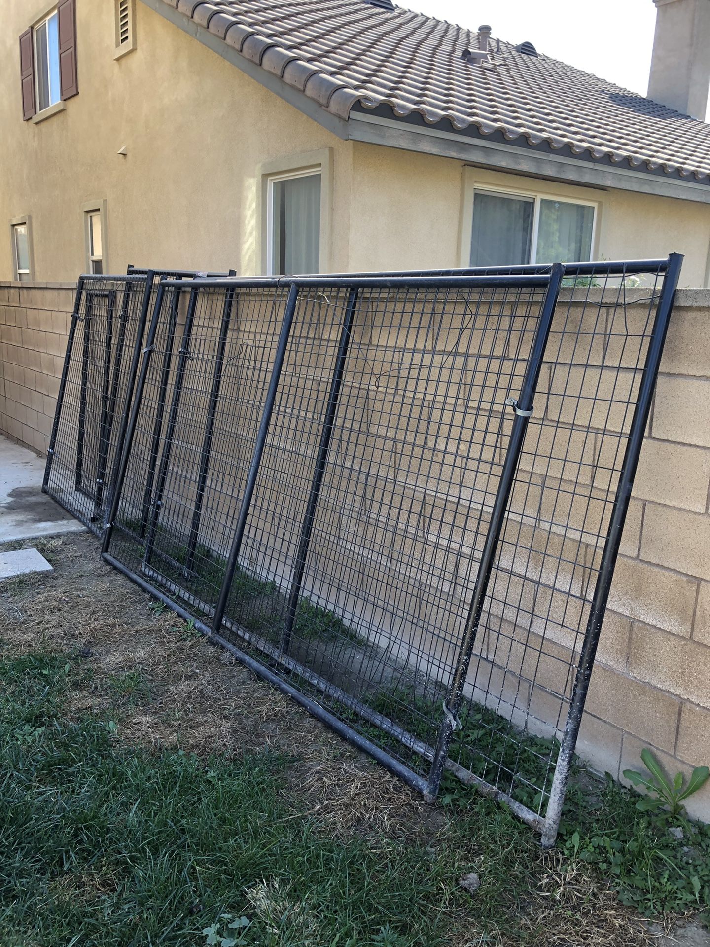 Dog kennel 5x10 big dogs