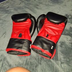 Venom Boxing Gloves 