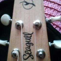 Seagul Guitar 
