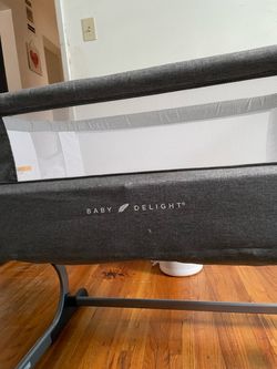 Baby Delight Bassinet