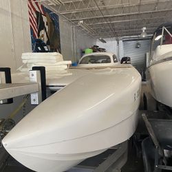 S Class Race Cat 30 Foot Predator 