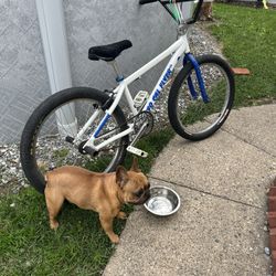 So Cal Flyer With Mafia Seat Honkin Bar New Se Peddles Missing A Grip Tho