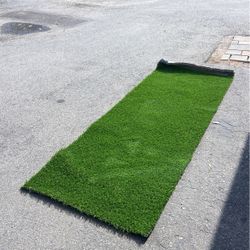 Grass