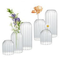Brand New Vases In Bulk Set Of 6, Glass Small Vases For Flowers, Modern Cylinder Ribbed Vases For Wedding Centerpiece, Living Room Decorative, Home De
