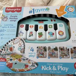 fisher price baby gym blue color