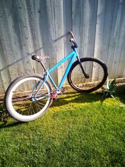 se 29 need gone