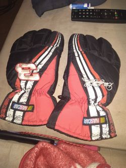 Dale Earnhardt Senior Nascar Gloves 