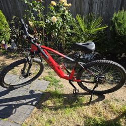 Ascend Electric Hardtail Mountain Bike