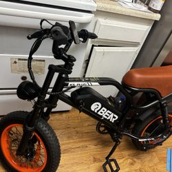 Electric Bike