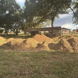 Free Mulch 