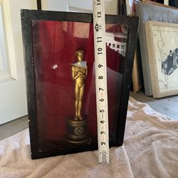 absorbent pads for dogs or cats