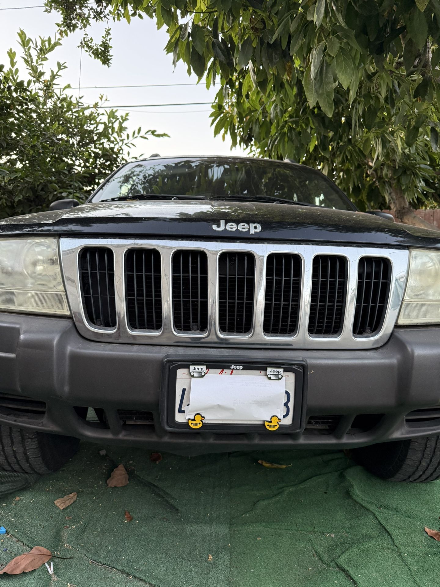 2001 Jeep Grand Cherokee