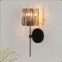 ✨ NEW Willa Arlo Interiors Quitman Glass Wall Sconce – Modern Luxury Lighting