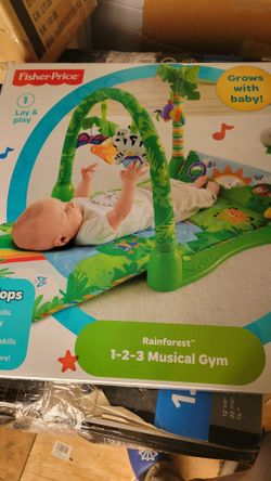 Fisher Price Musical Gym..