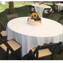 Wood Brown Resin Chairs 