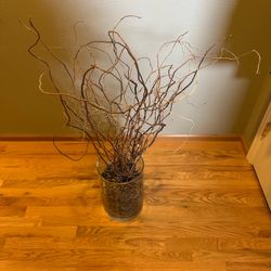 Curly Willow Branches in Glass Vase