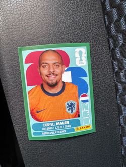 Green border panini World Cup sticker