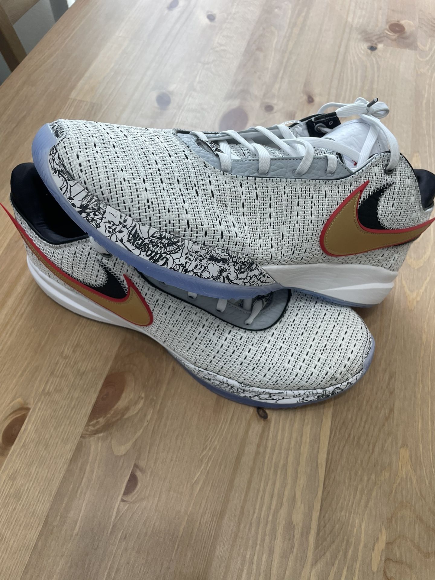 Lebron 20 ‘The Debut’