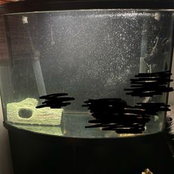 Big Fish Tank FISH NOT INCLDED⚠️⚠️