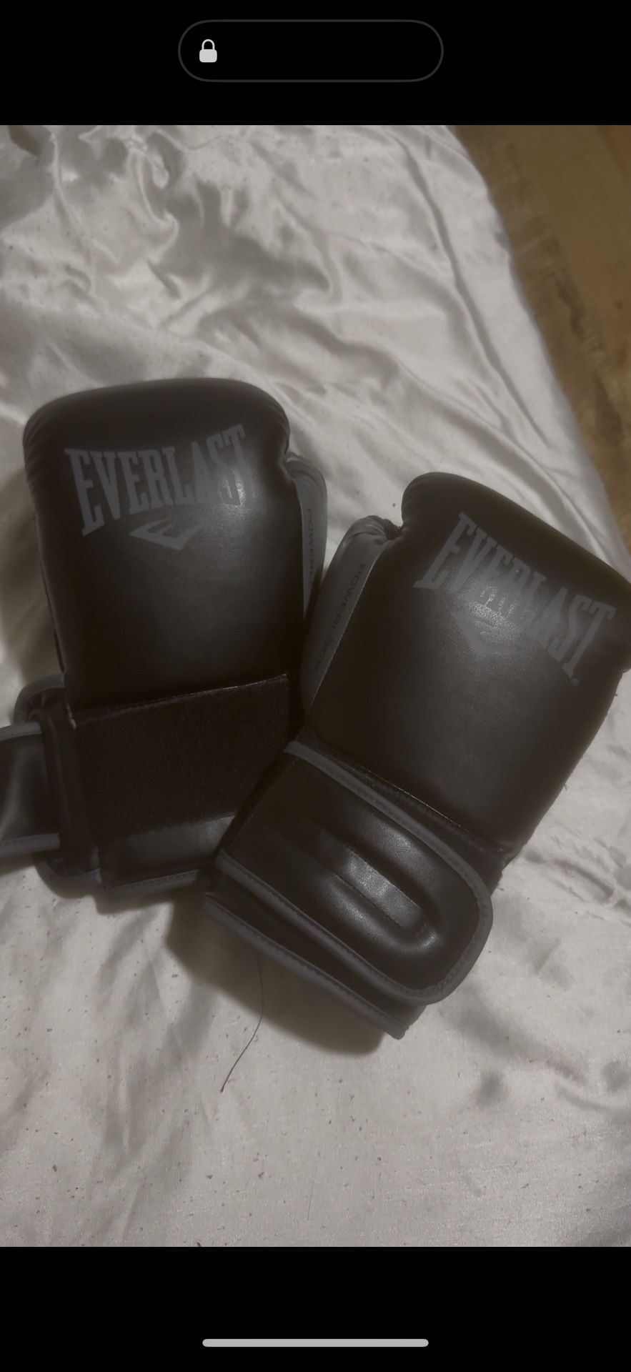 Everlast Boxinv Gloves