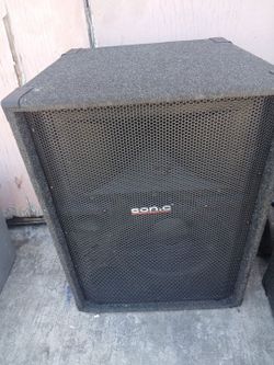 Twin 15 inch Peavey speakers