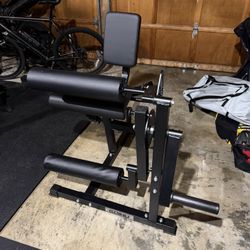 Leg Extension And Curl Machine