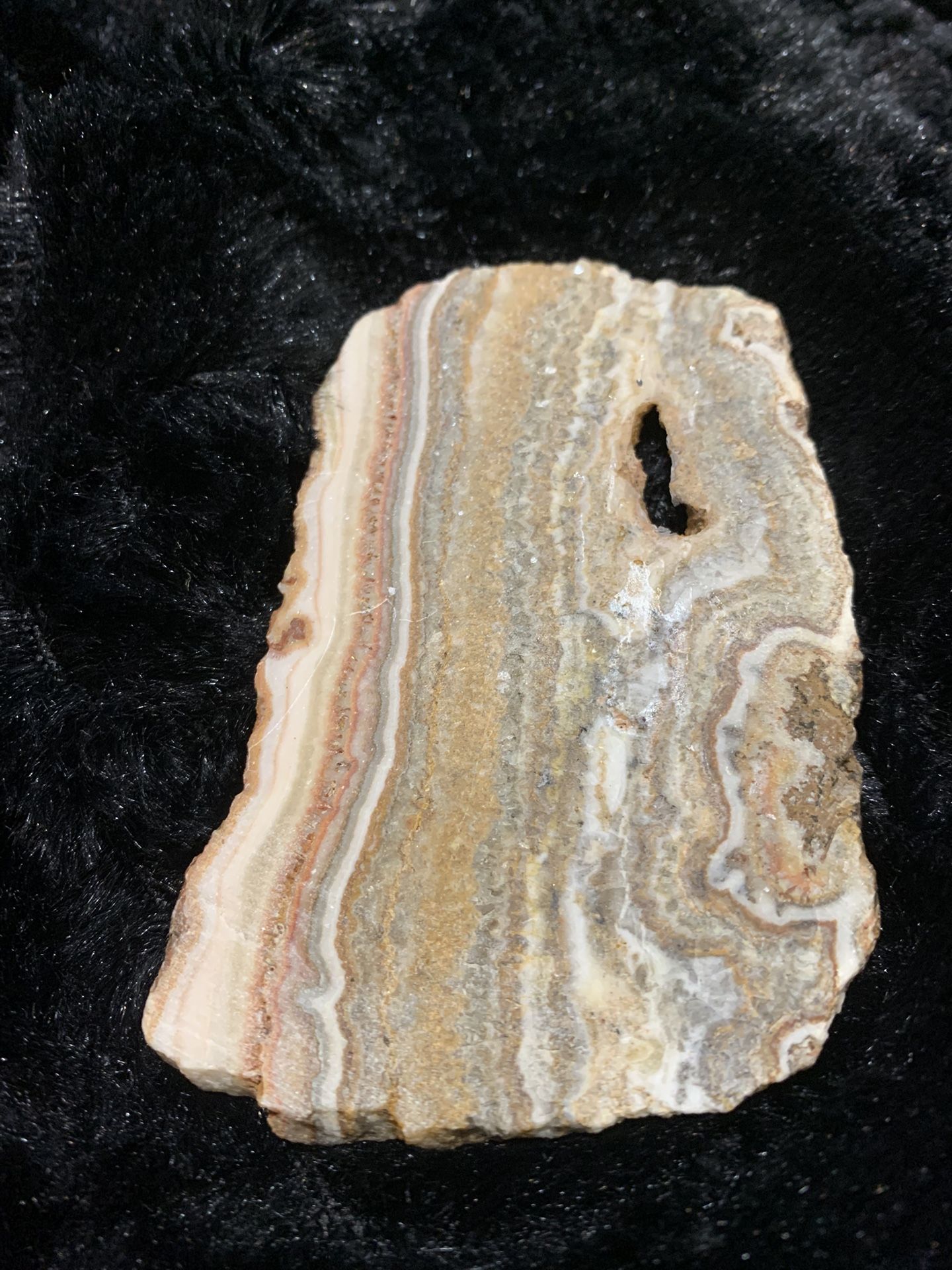 Petrified wood slim small slab 3.5” x 2.5”