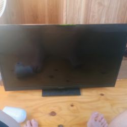 19" Insignia Tv