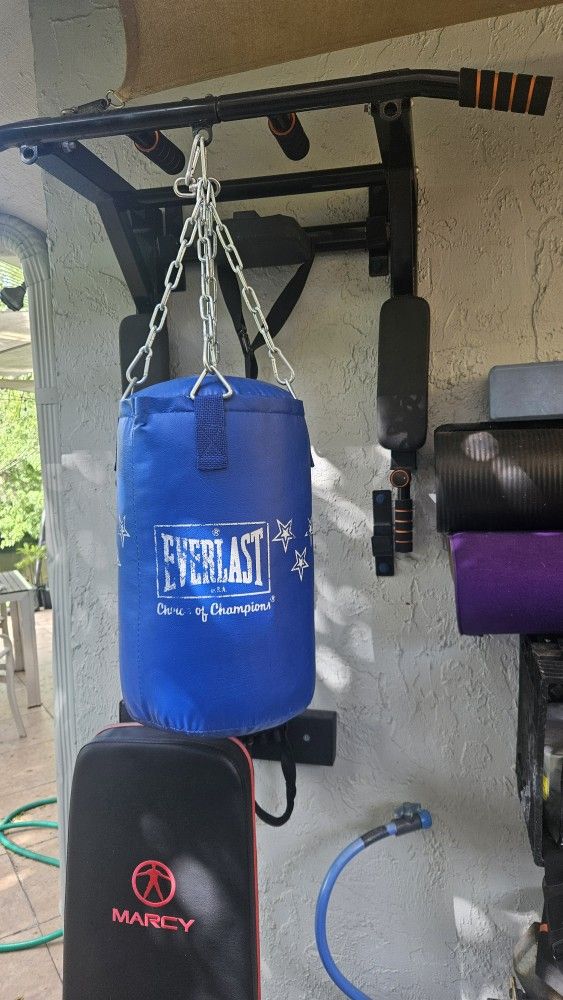 Everlast Mini Heavy Punching Bag