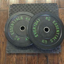 Olympic Bumper Weight Plates - Pair 25 lbs 