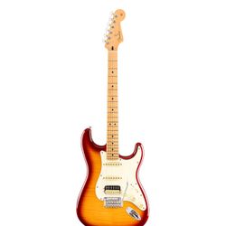 Electric Guitar