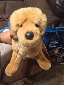 Douglas Golden Retriever