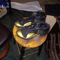 Nike Air Flight Posite