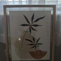 Potted Plant Picture 