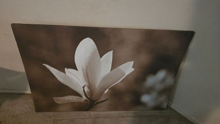 Pictures