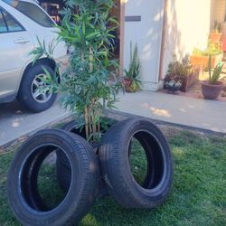 Tires And Parts For A Ford Mustang.