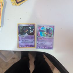 Banette And Banette Ex Kim