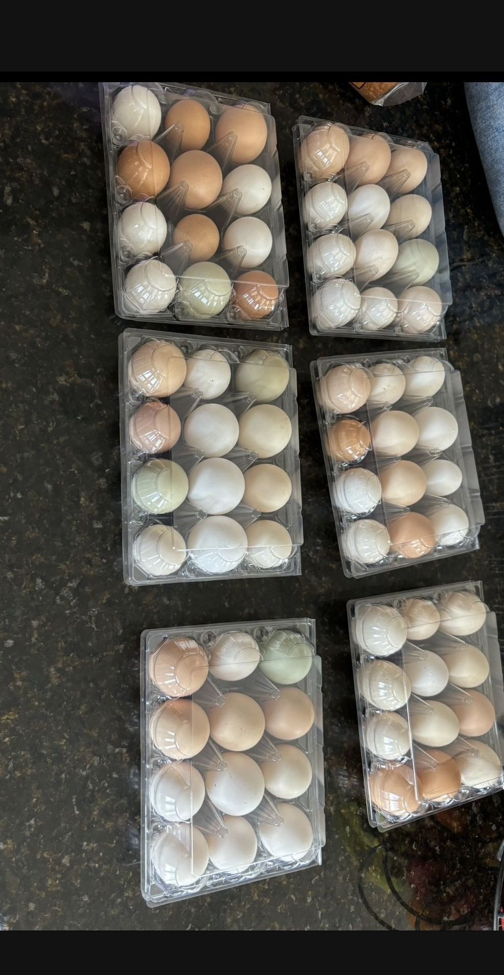 Eggs Sale