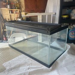Fish / Reptile Tank
