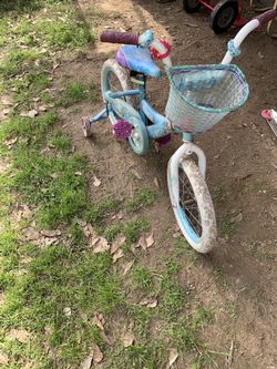 Kids frozen bike with training wheels