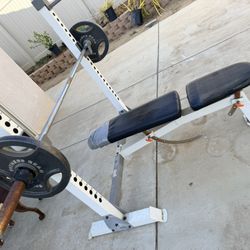 Bench/Squat Rack With Olympic Bar