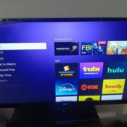 32 Inch Roku Tv