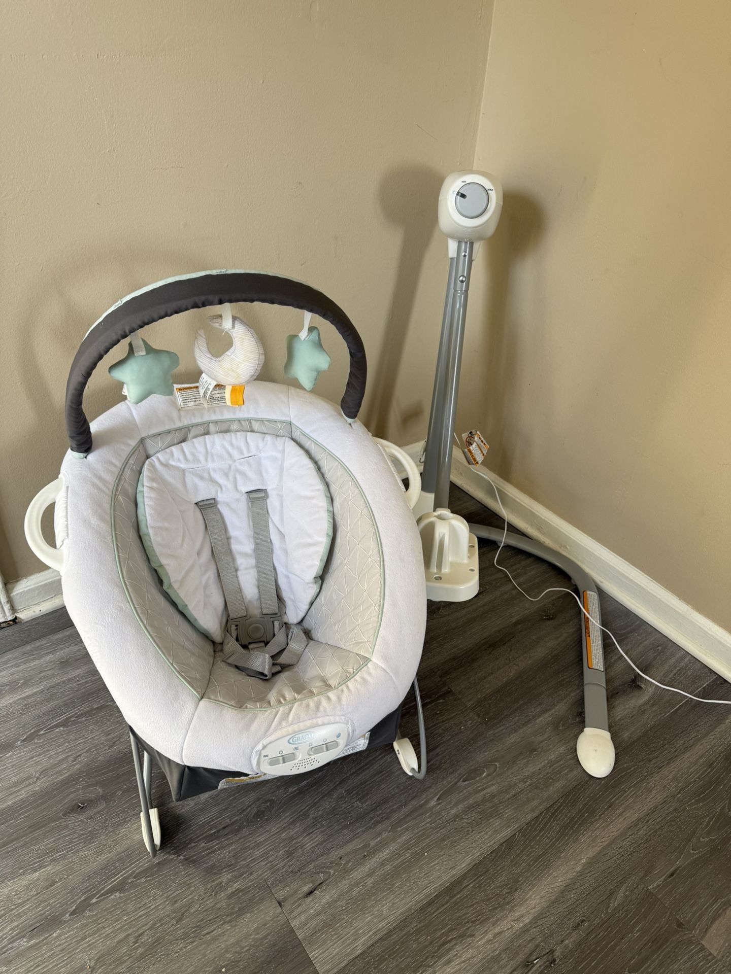 2 In 1 Swing/Bouncer